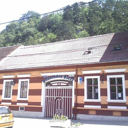 Guesthouse Stefi Rîşnov エクステリア 写真